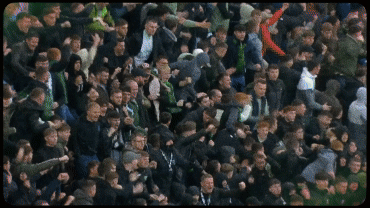 HIBS-INTRO-Locked-CUT-4-102624-v3.gif