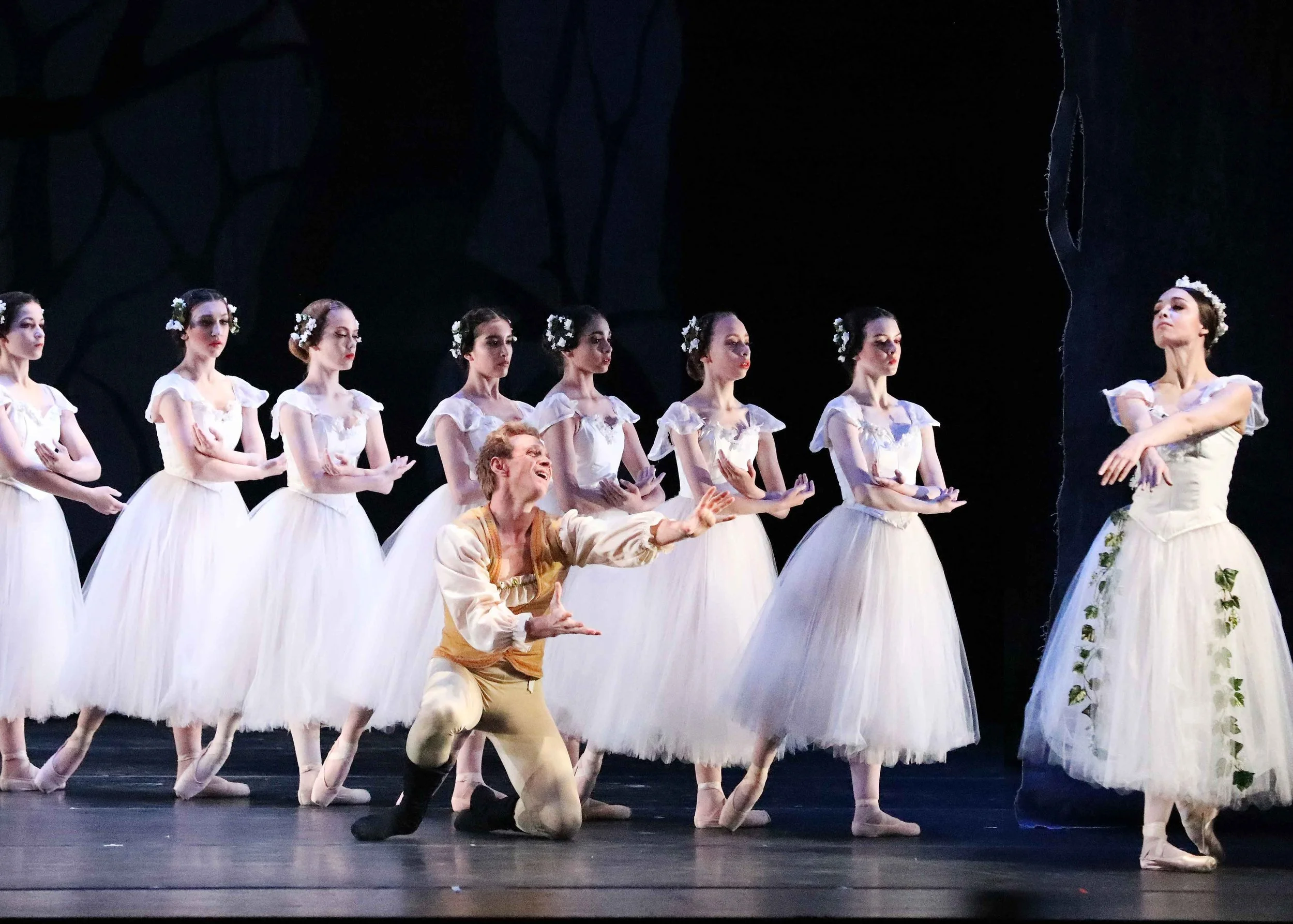  Unfortunately, he is seen by Myrta, the Queen of the Wilis. Is this the end of Hilarian? 