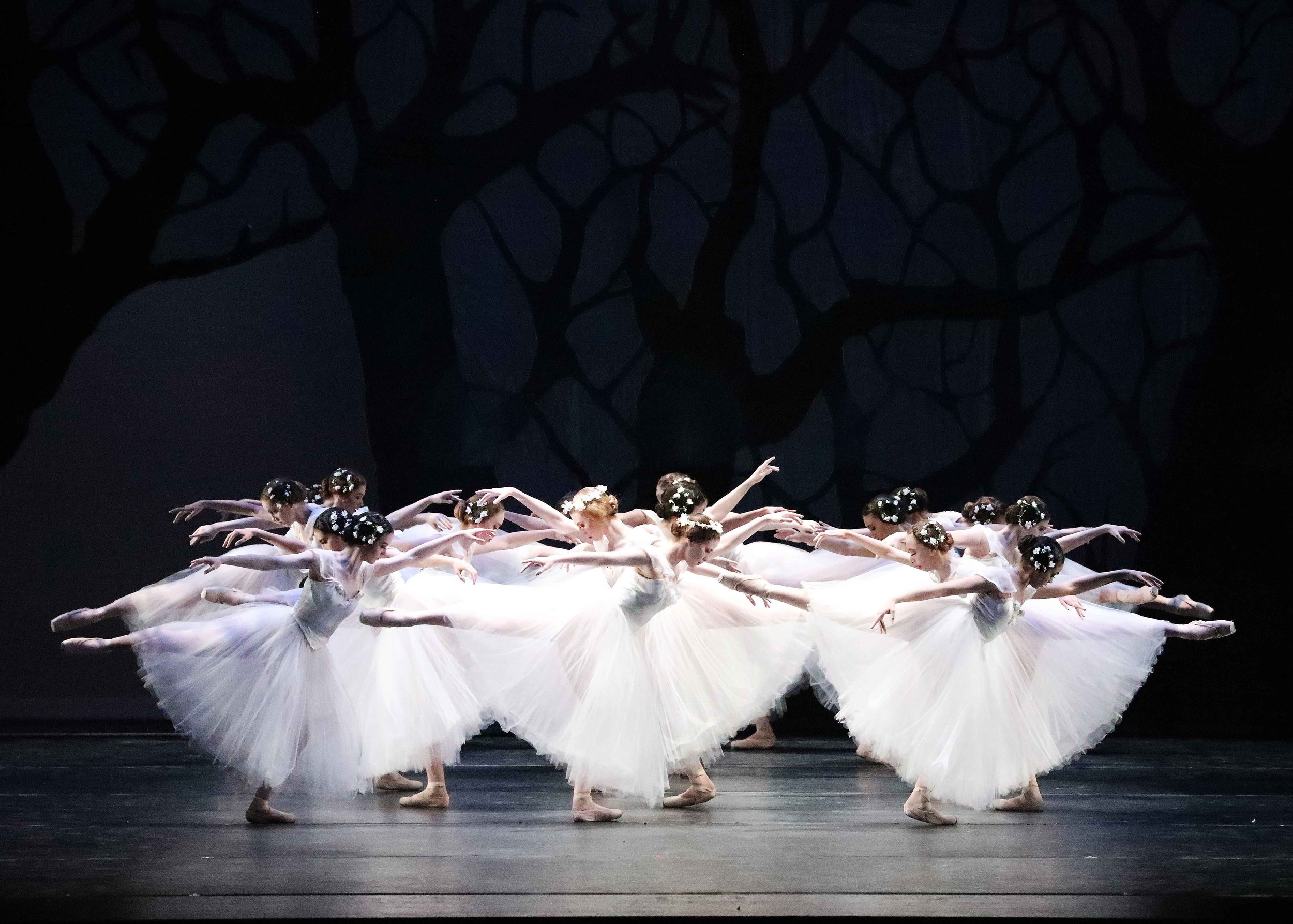  She is buried in the nearby forest, where the Wilis live. Wilis are the spirits of unmarried women who also died of broken hearts. 