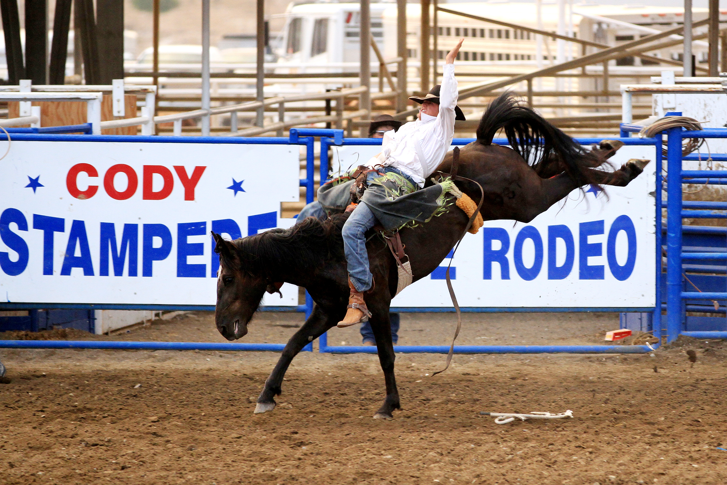 LB2012.08.07.rodeo.jpg