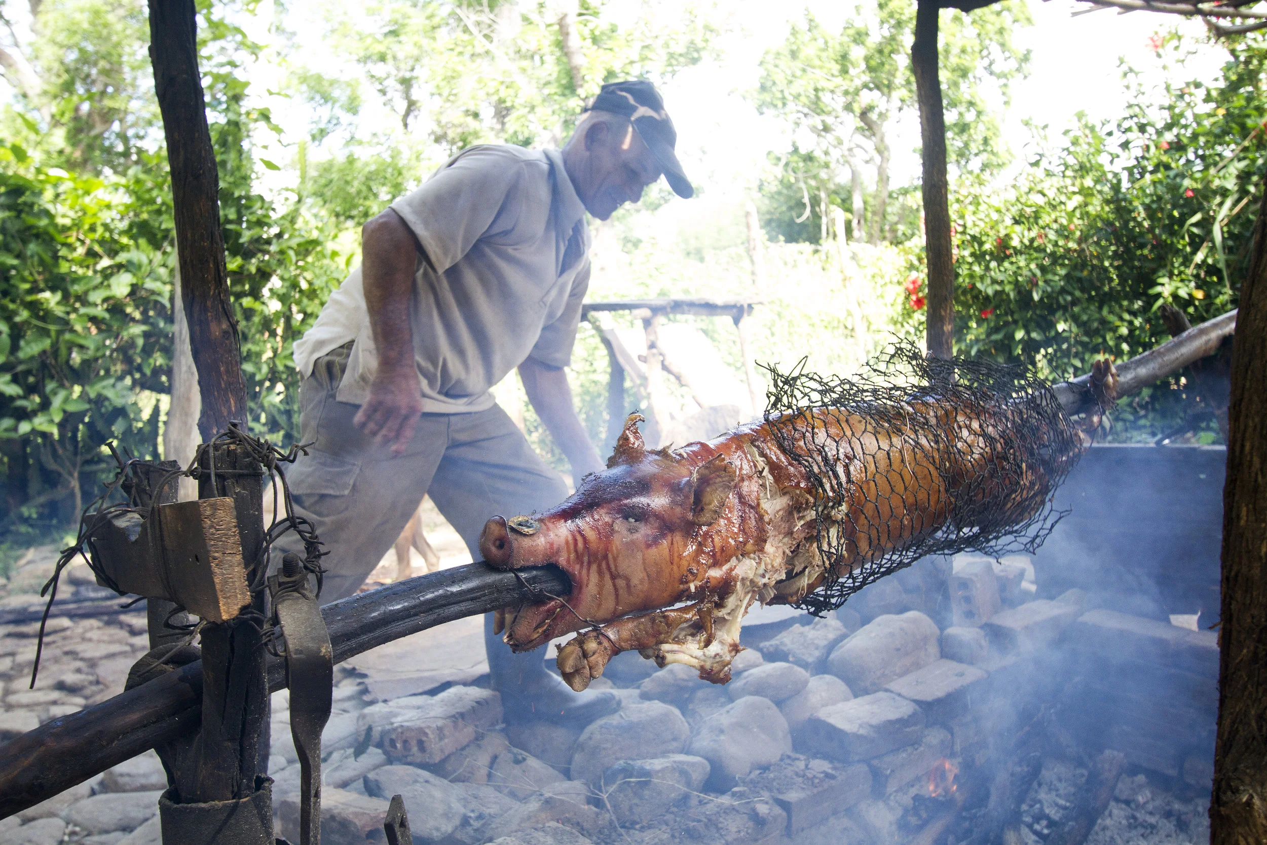 Pork, it's what's for lunch