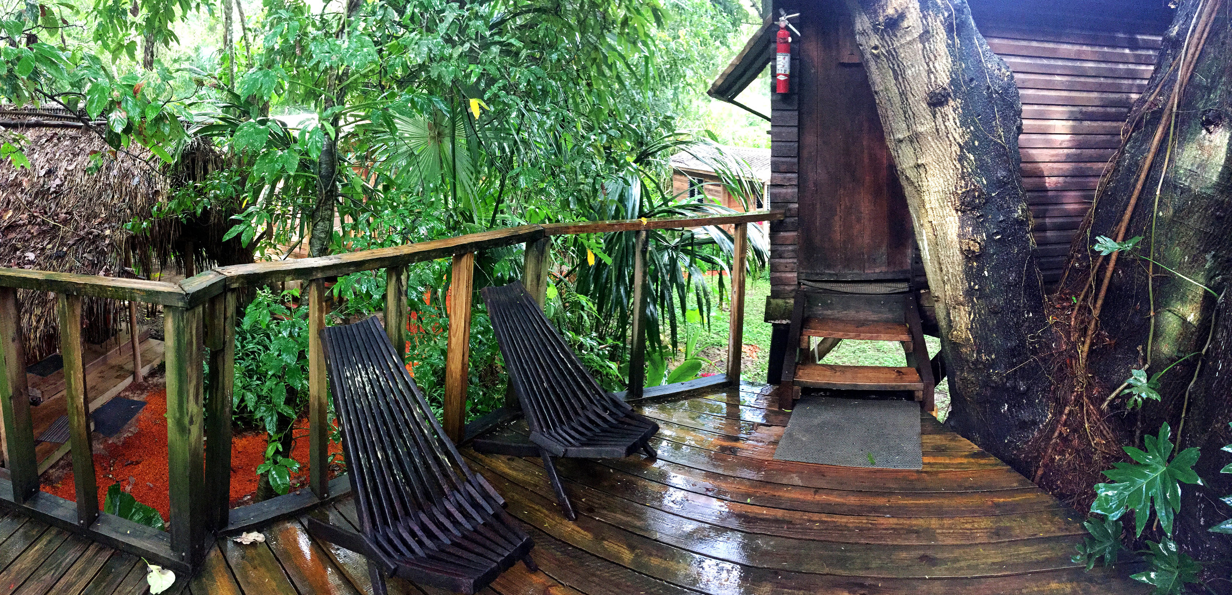 Our treehouse at Parrot Nest Lodge