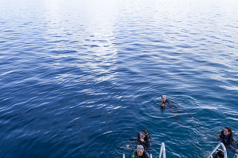 Divers resurfacing from the Blue Hole