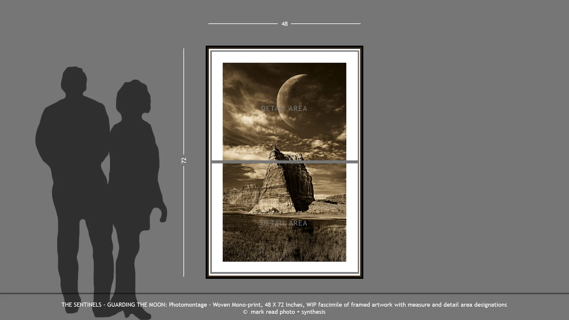 THE SENTINELS . . . GUARDING THE MOON