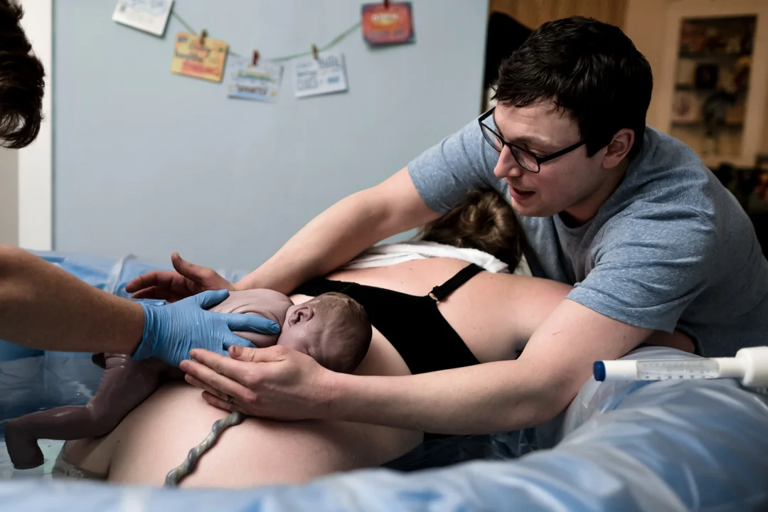 Umbilical cord