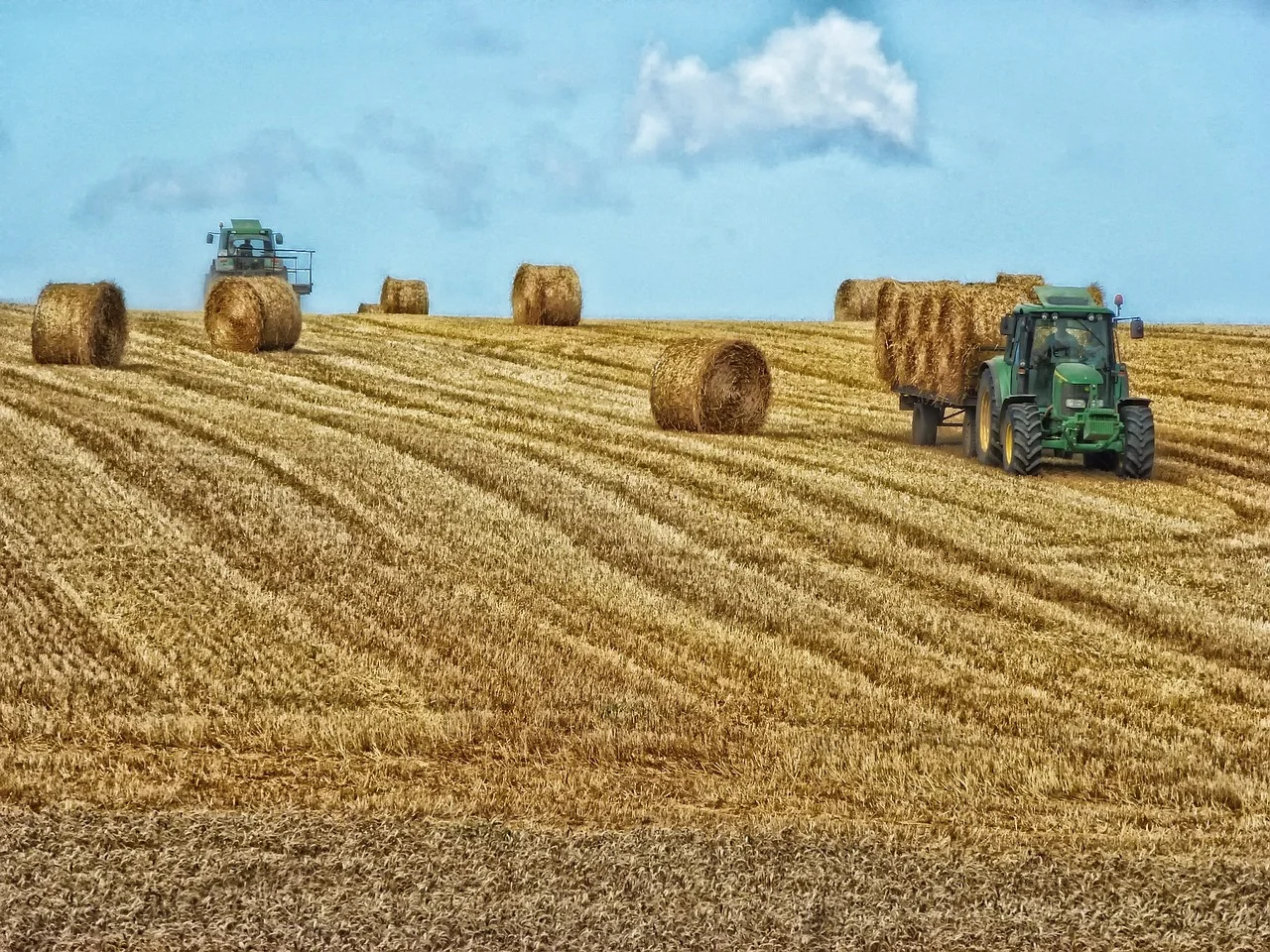 hay-bales-351213_1280.jpg