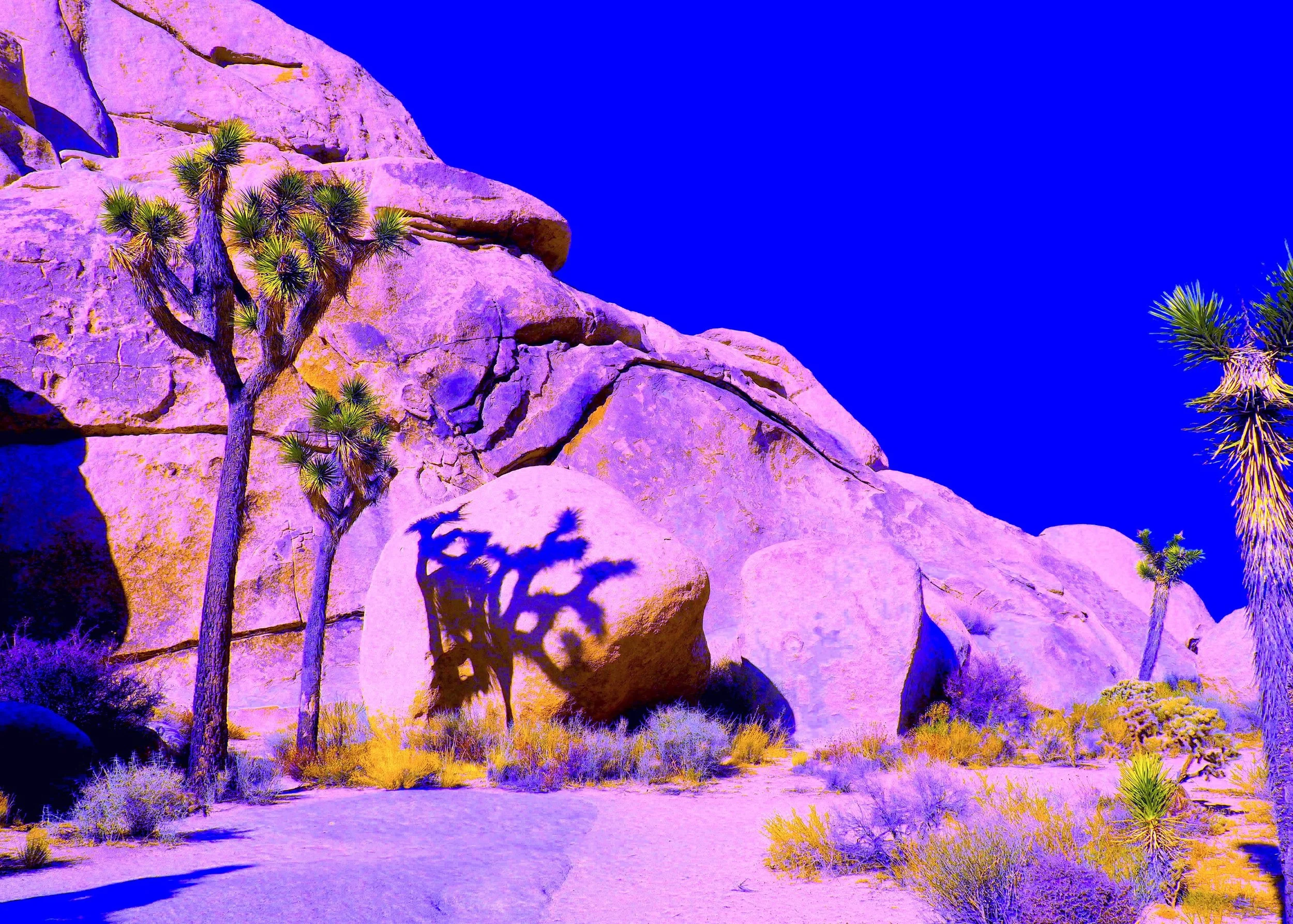 desert-dreams.jpg