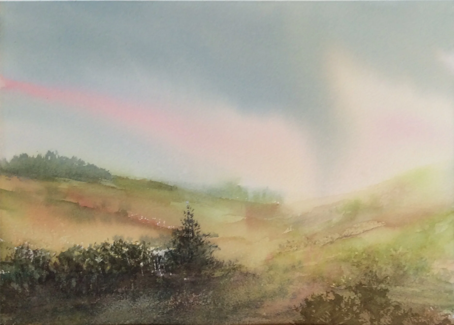 afternoon.light.JPG