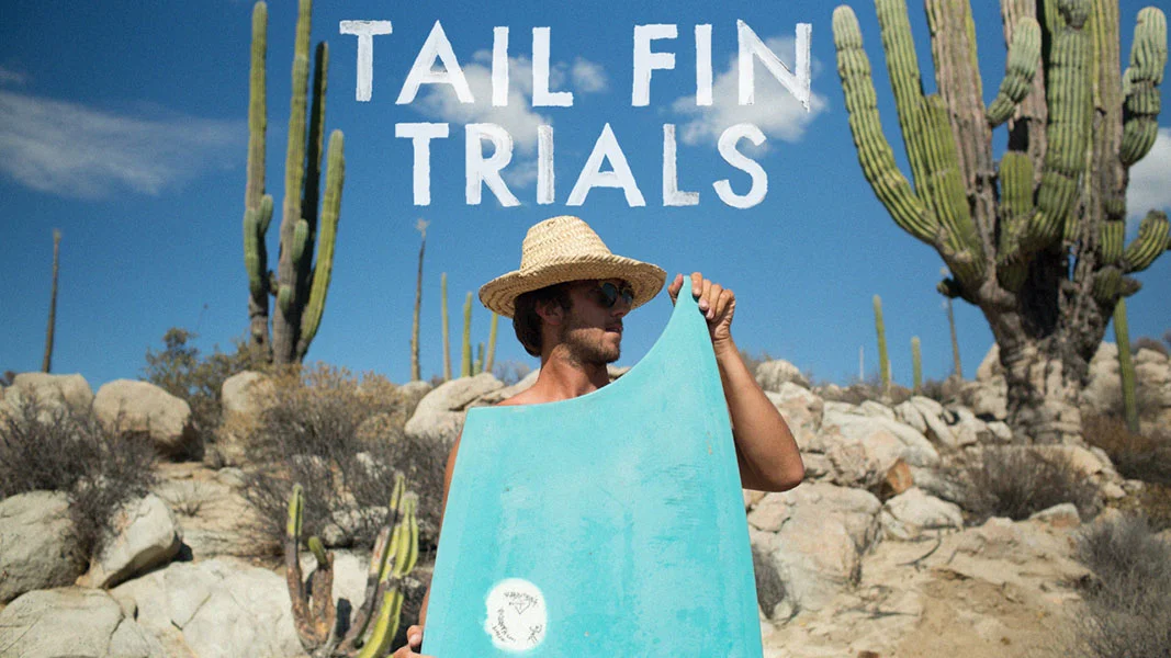 Tail Fin Trials.jpg