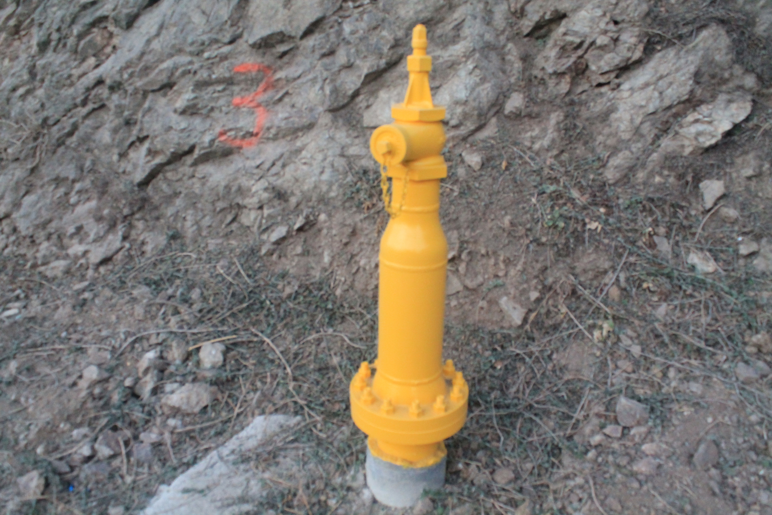 yellow hydrants.JPG