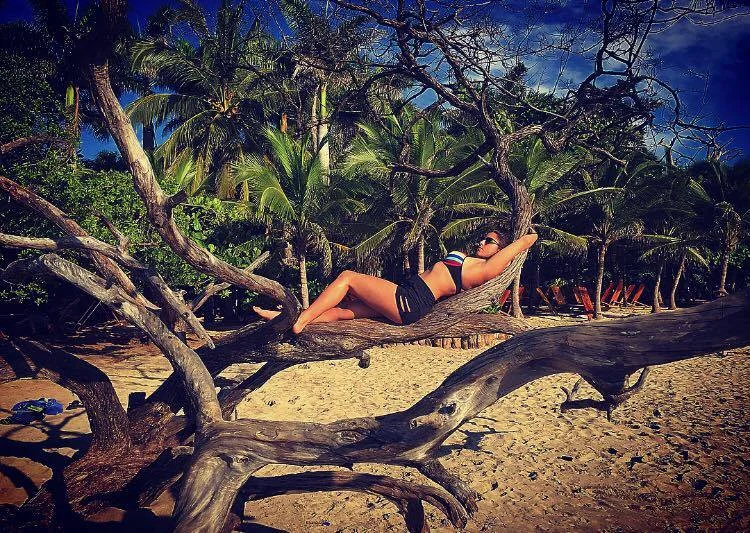 in the tree.jpg