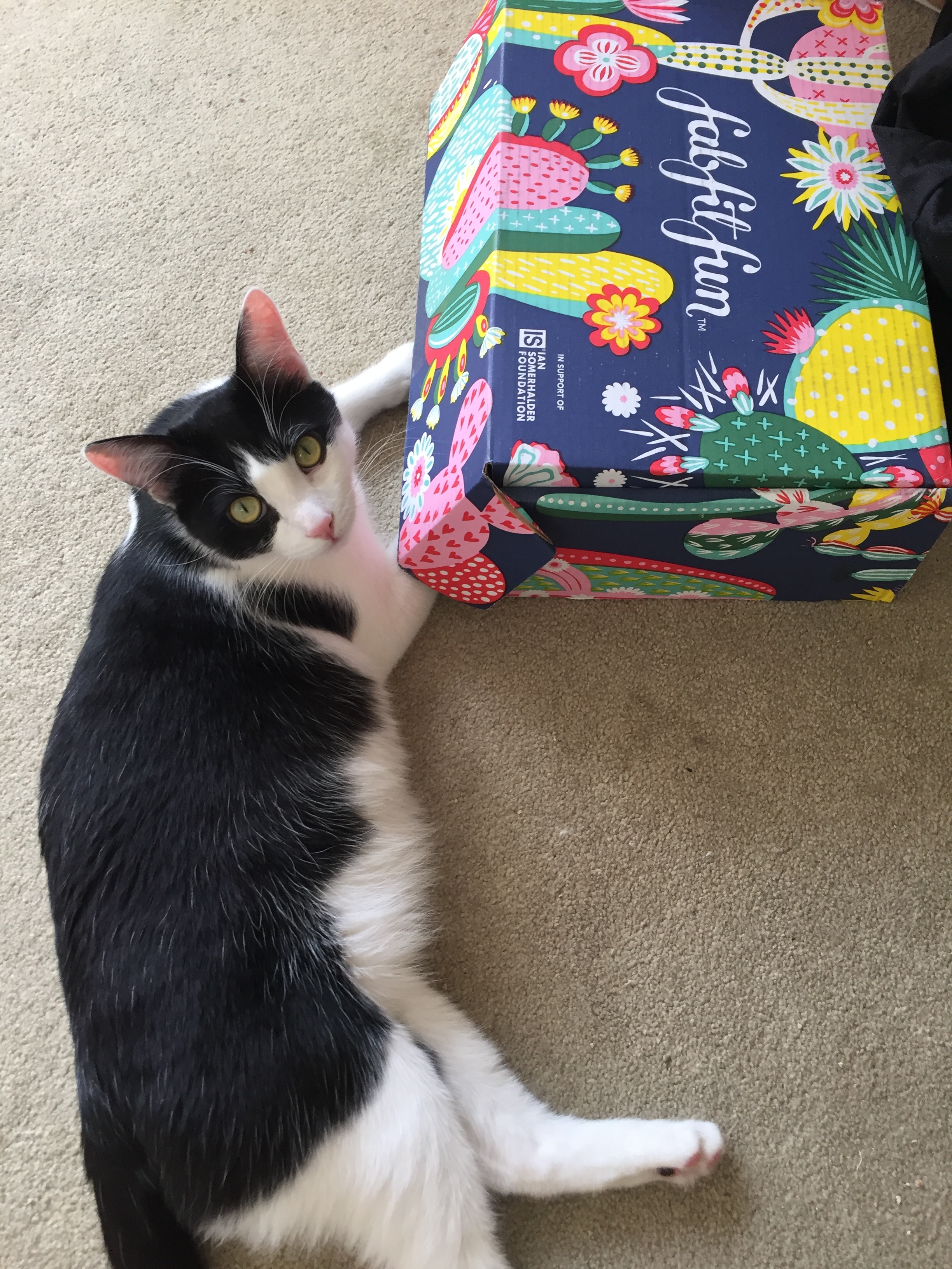 FabFitFun SPRING 2019 UNBOXING WITH FitBritLA