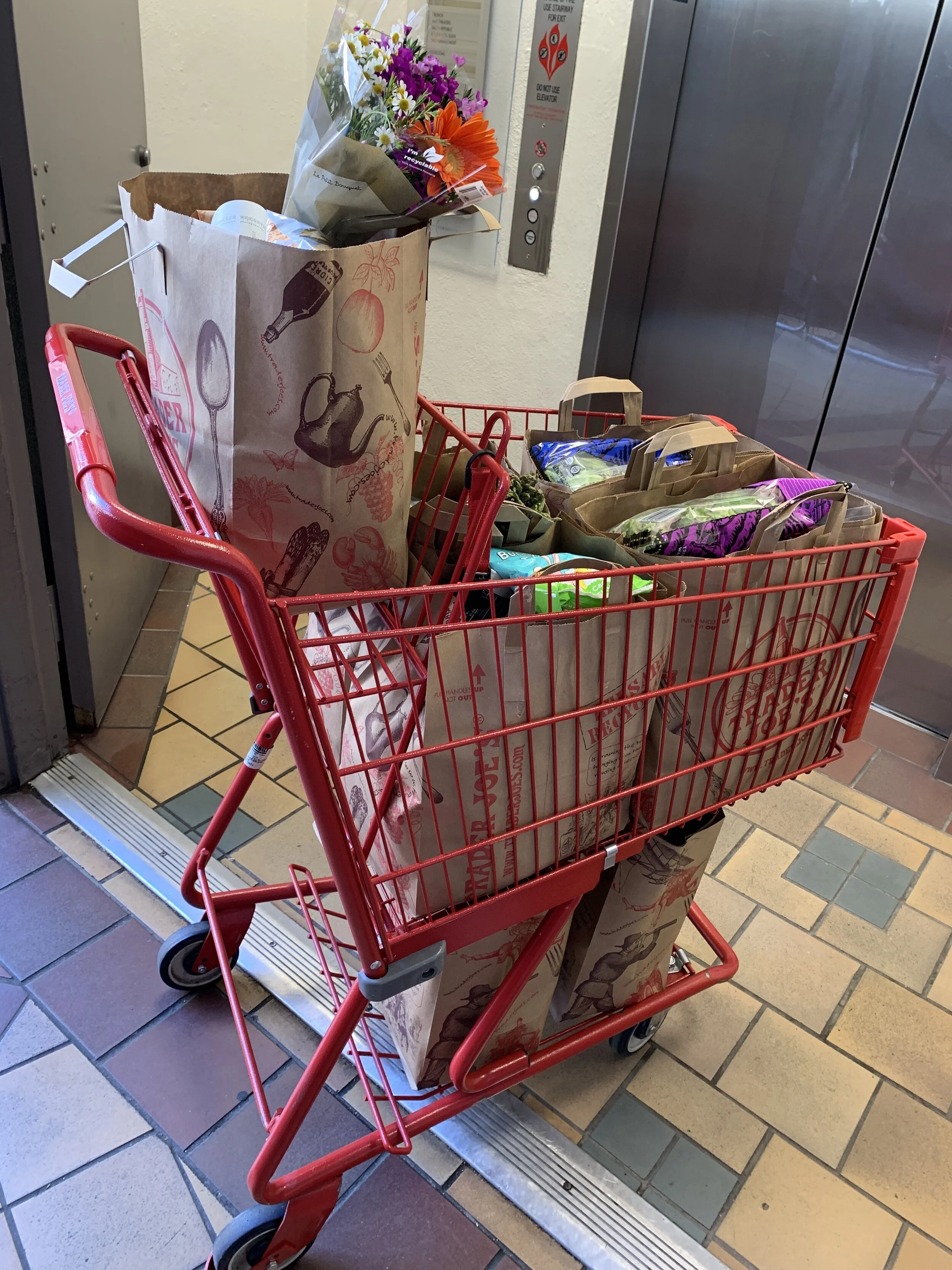 A FIT GAL'S TRADER JOE'S HAUL QUARANTINE EDITION 