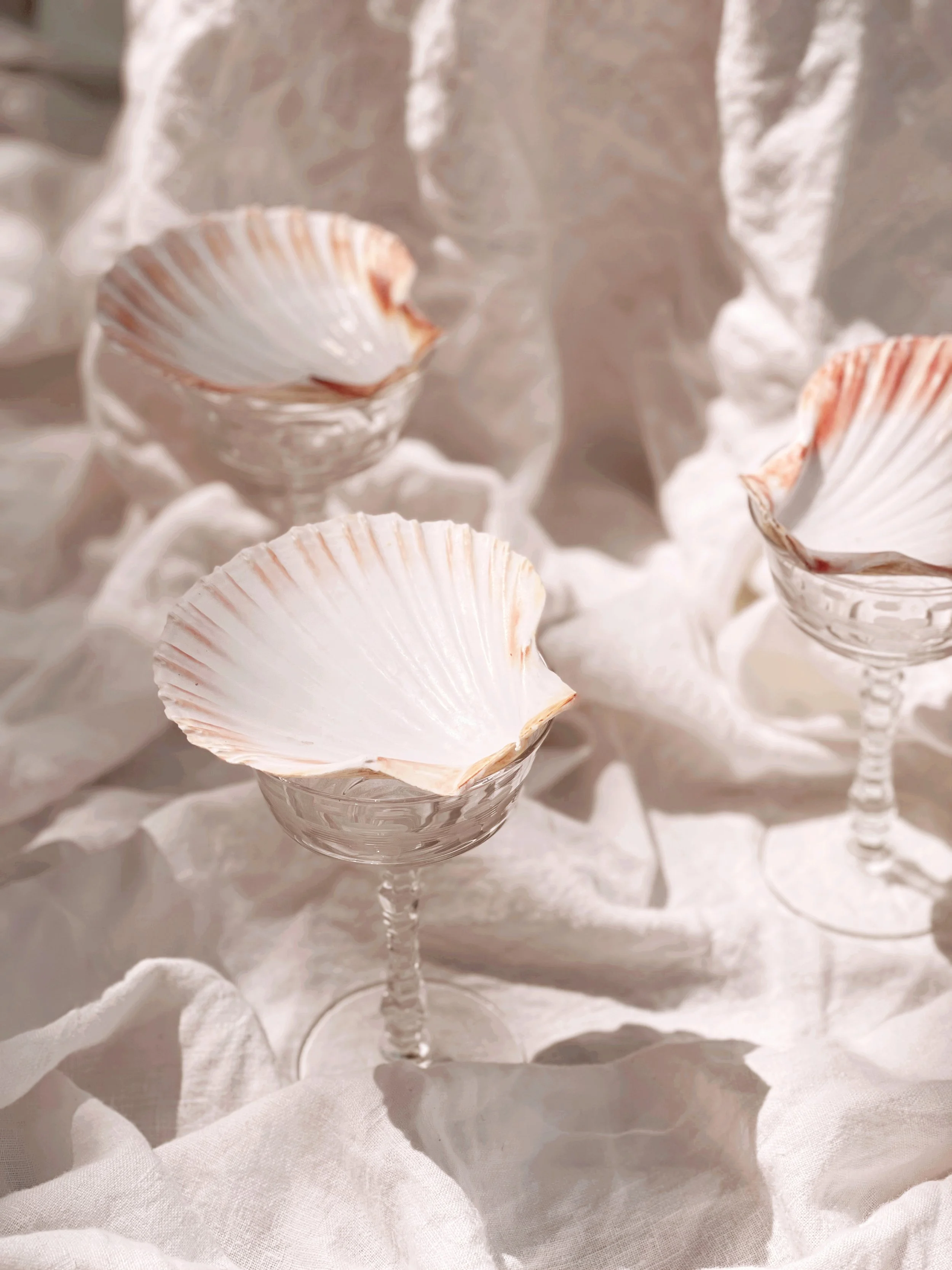 Reunion by Eclectic Prodigy Product Styling