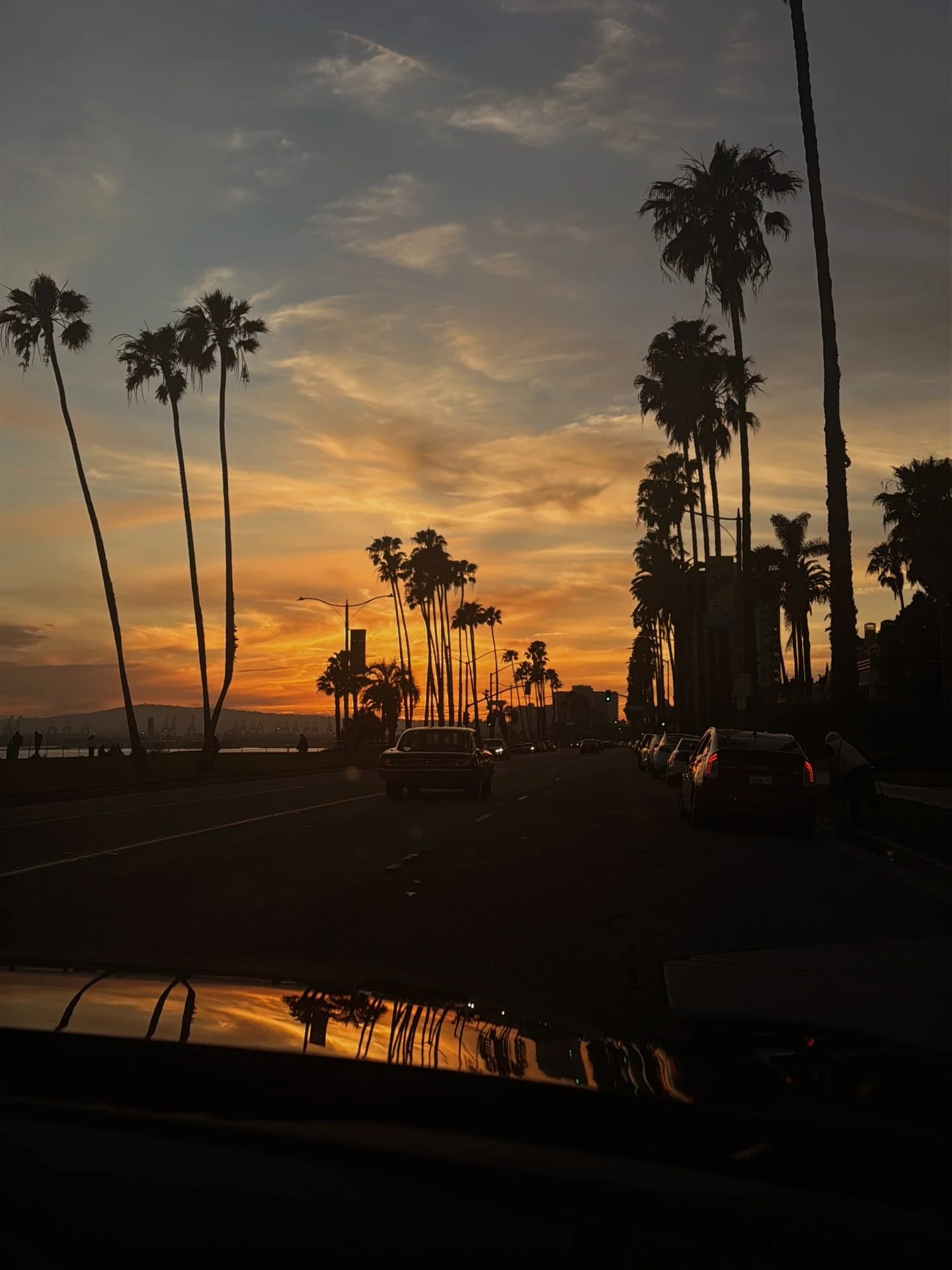 life lately // pre 🦂🌕
skylines, spirals, sunsets and &ldquo;silver&rdquo; sightings