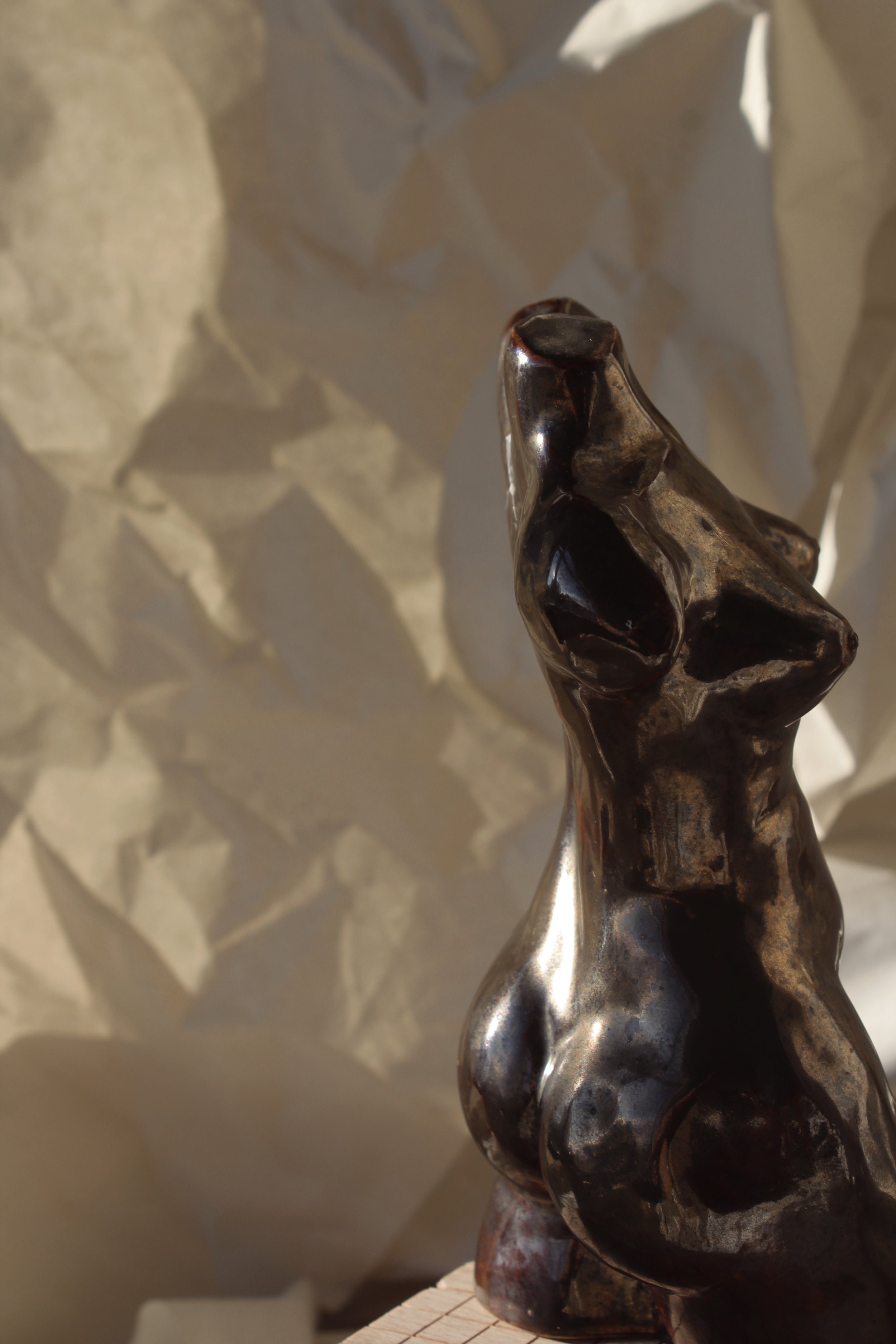Close-up of an abstract sculpture with a glossy, dark finish, depicting an elongated form with hollowed-out sections, set against a textured background.
