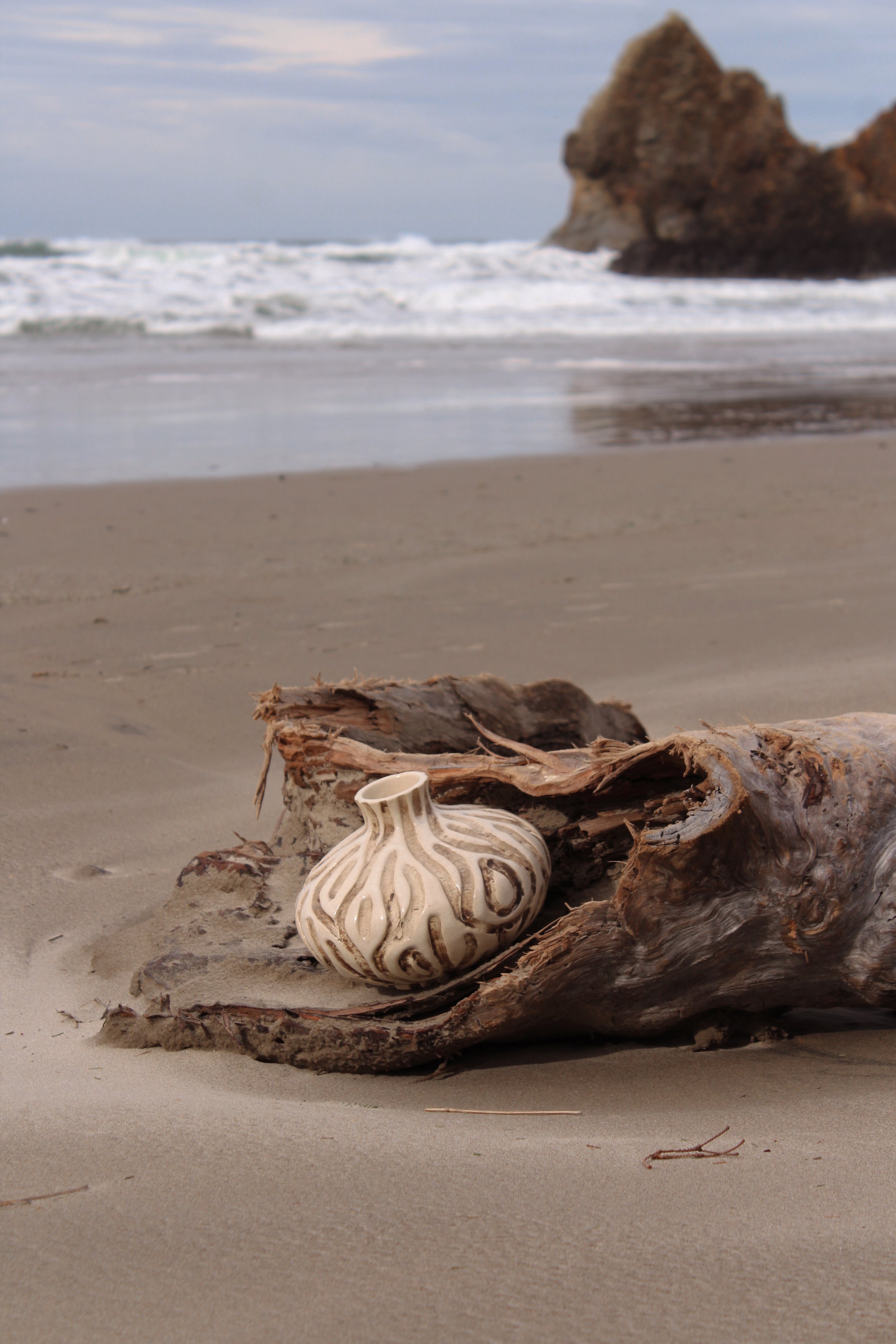 Eclectic Prodigy x Reunion Oregon Coast Product Styling