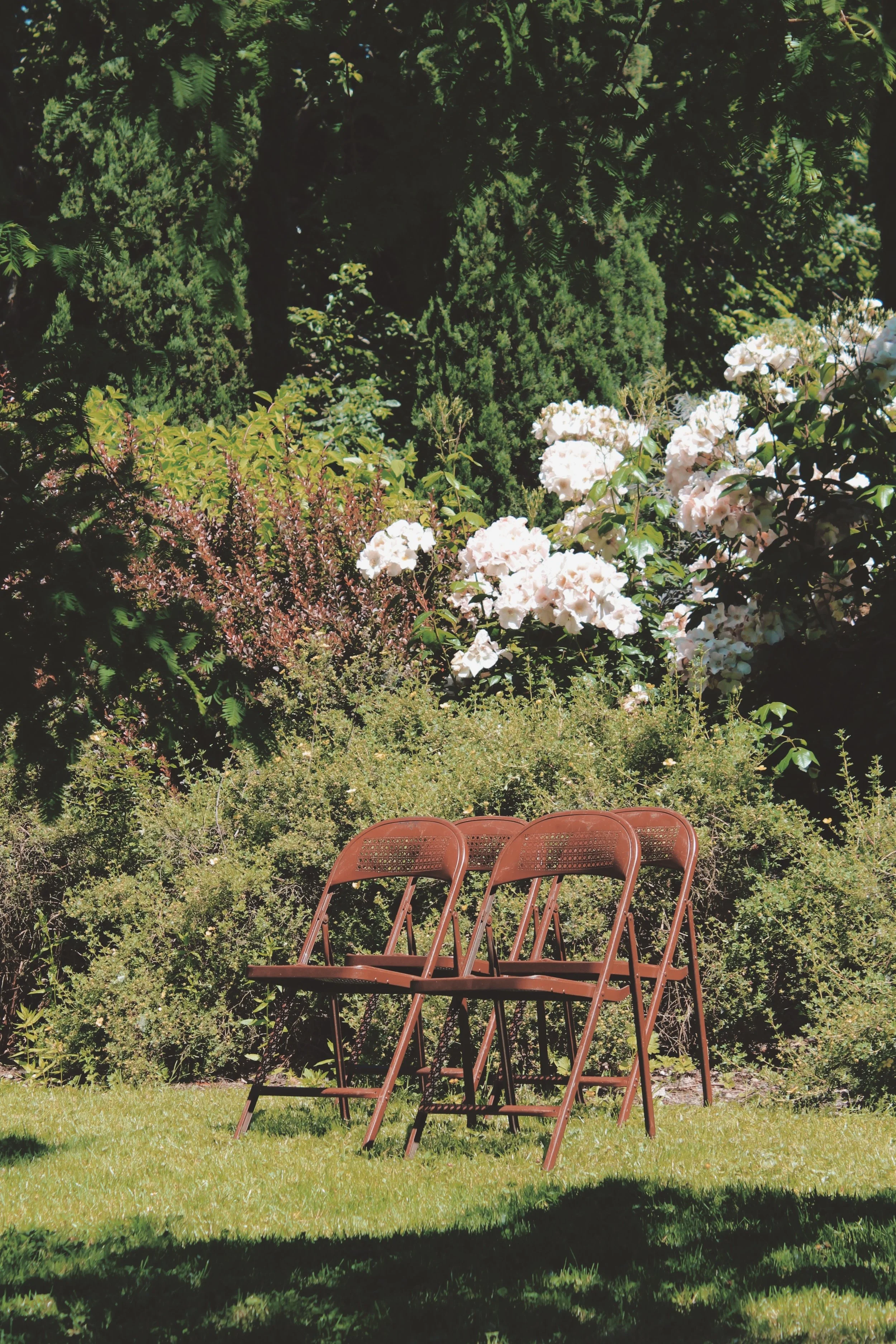 Reunion by Eclectic Prodigy_Product Styling