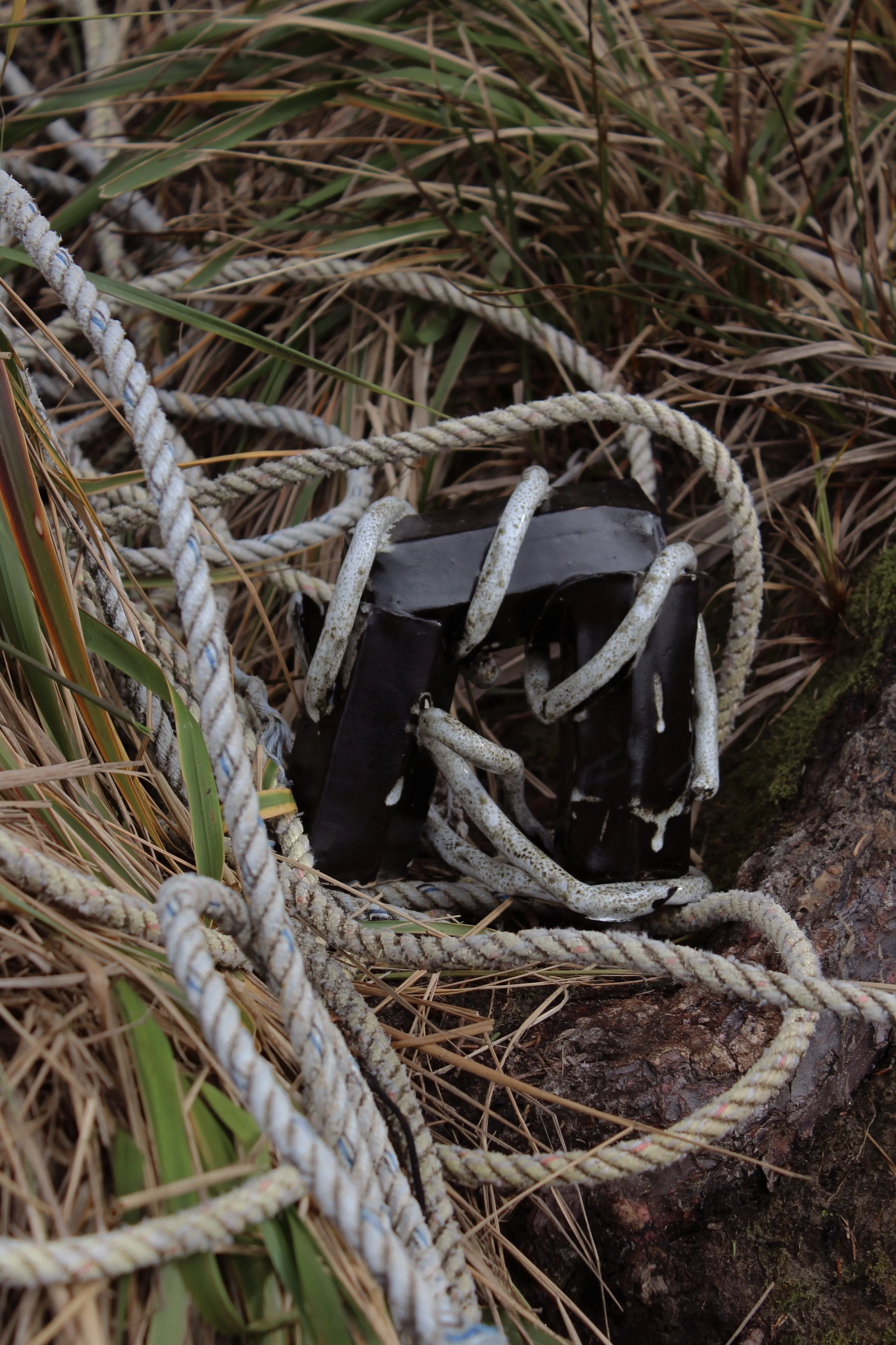 Reunion by Eclectic Prodigy_Product Styling