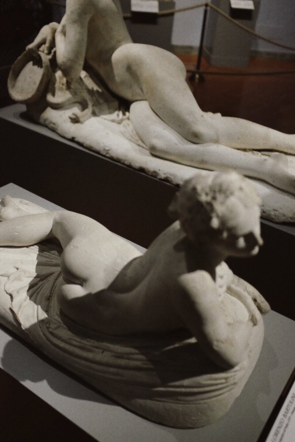 Eclectic Prodigy Florence Museum