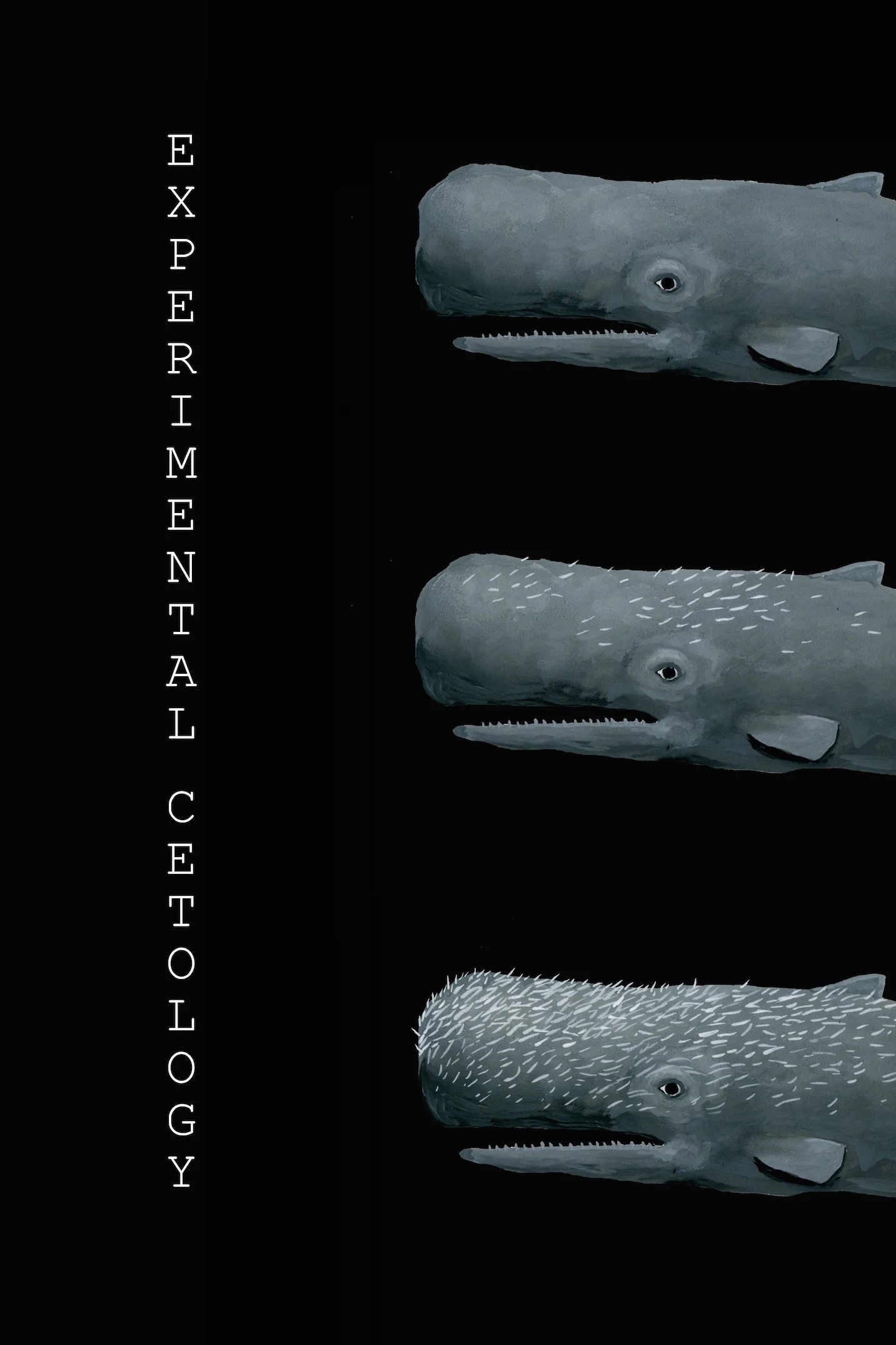 1 experimental cetology Journal Vol 3-4.jpg