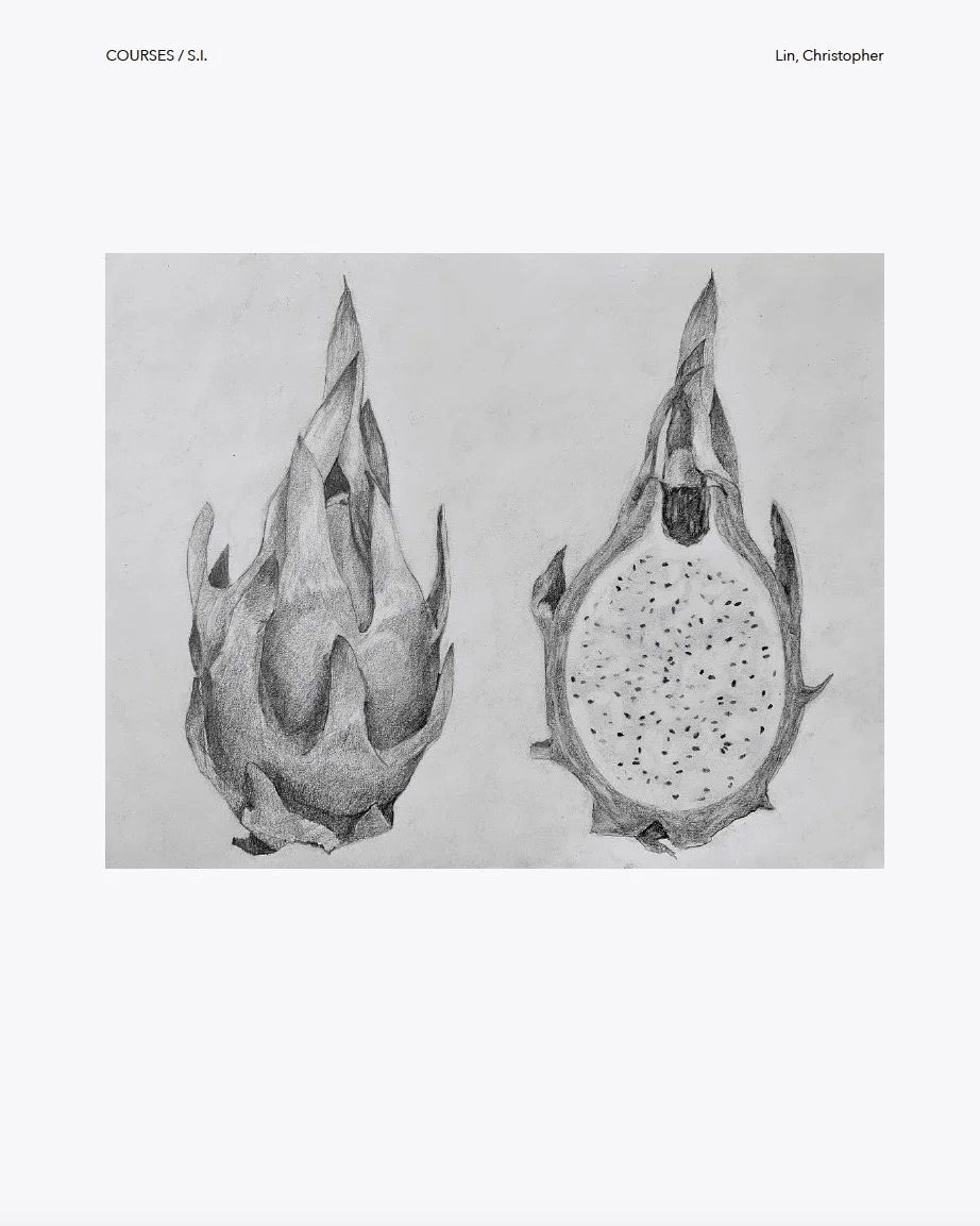Dragonfruit Drawing by Christopher Lin