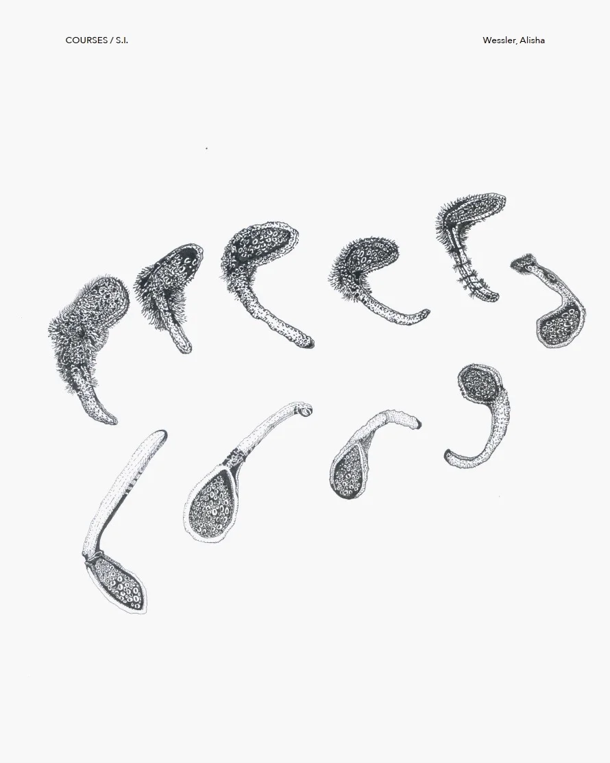 Primordial Soup Spoons by Alisha Wessler