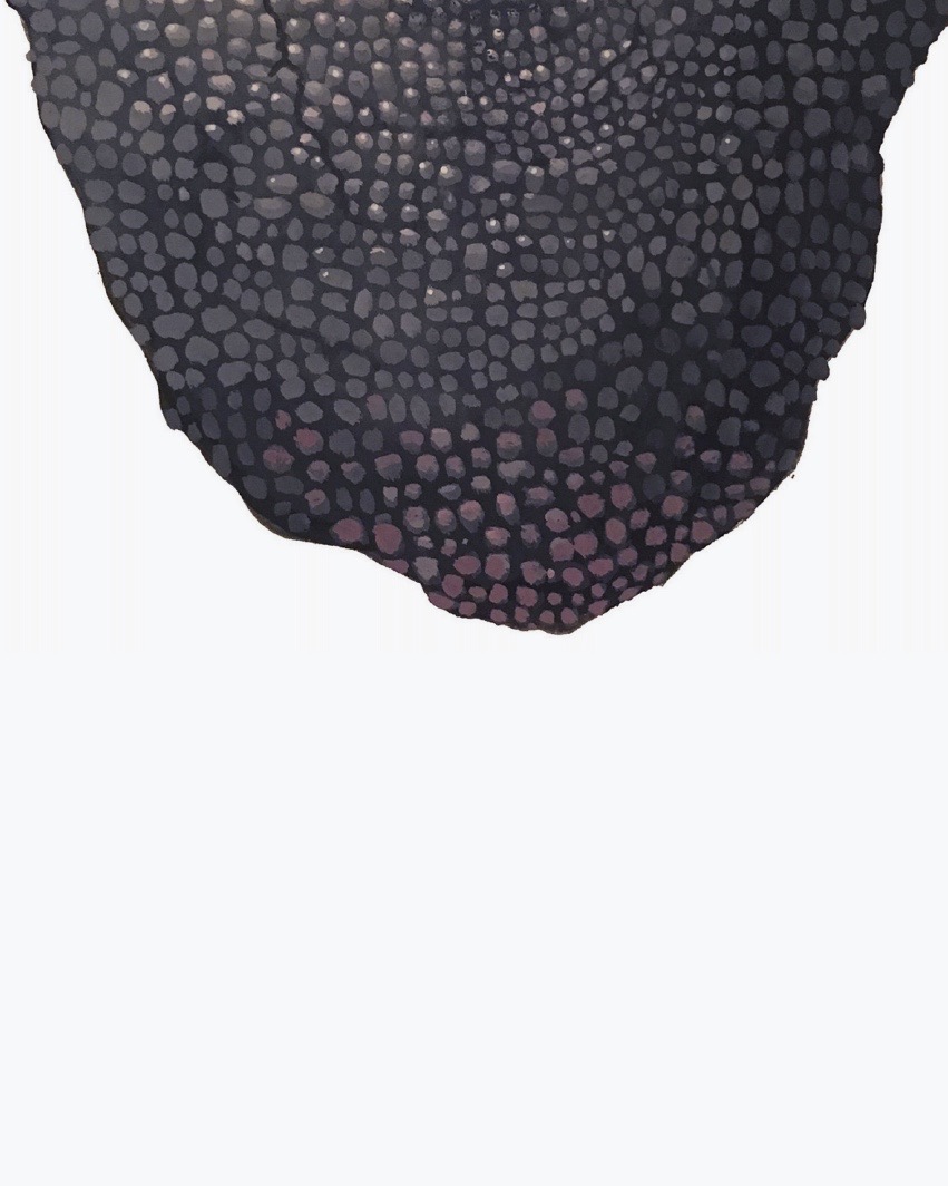 Illustration by Ashley Eliza Williams
