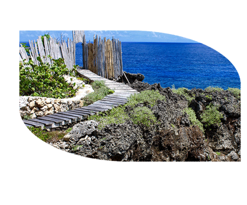 If cliff jumping at the beach doesn’t appeal, you still might like the adrenaline rush of this boardwalk along our higher cliffs, with the sea splashing far below. Not really dangerous, but not for people with vertigo. Be sure to read the rules posted at the start (in front of the Queen Nyabinghi Hut), watch your step, and children should be supervised at all times.