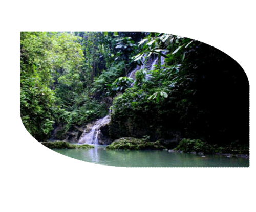 If you love waterfalls, this is definitely the place to chill out, take a swim and refresh yourself: between Hope Bay and Port Antonio, hidden in the rainforest behind a hedge of bright red ginger lilies and green bottlebrush plants, where the Daniels River plunges down a narrow gorge. Settle in for a tranquil day of sunning and bathing in deep, picture-perfect rock pools, or take a boat ride to visit the caves behind the falls.