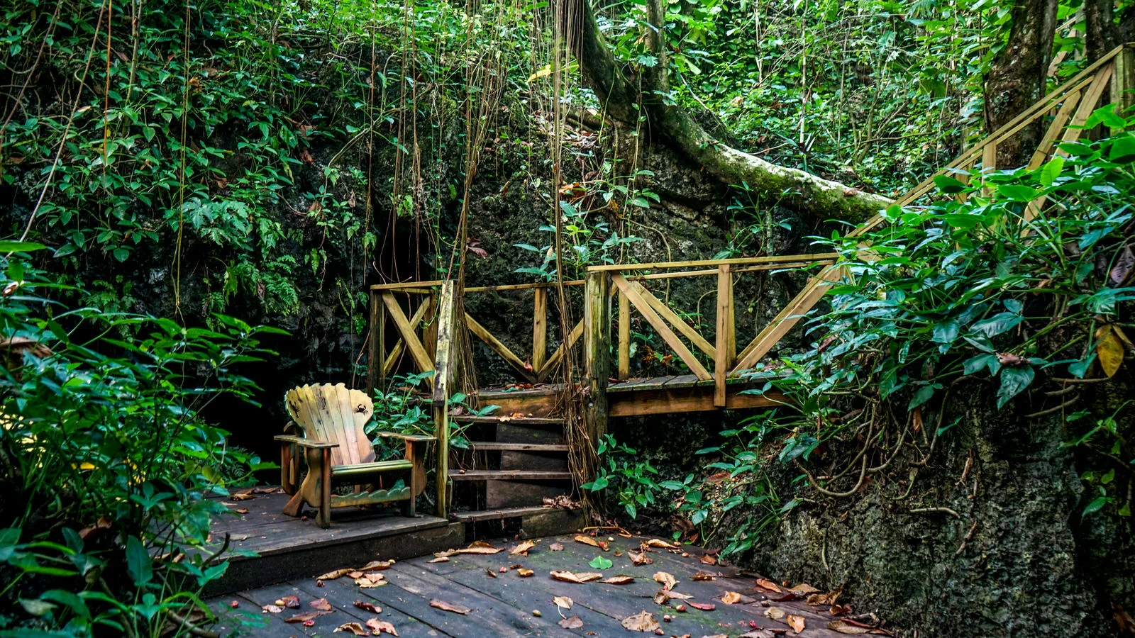 Meditation Deck5.jpg