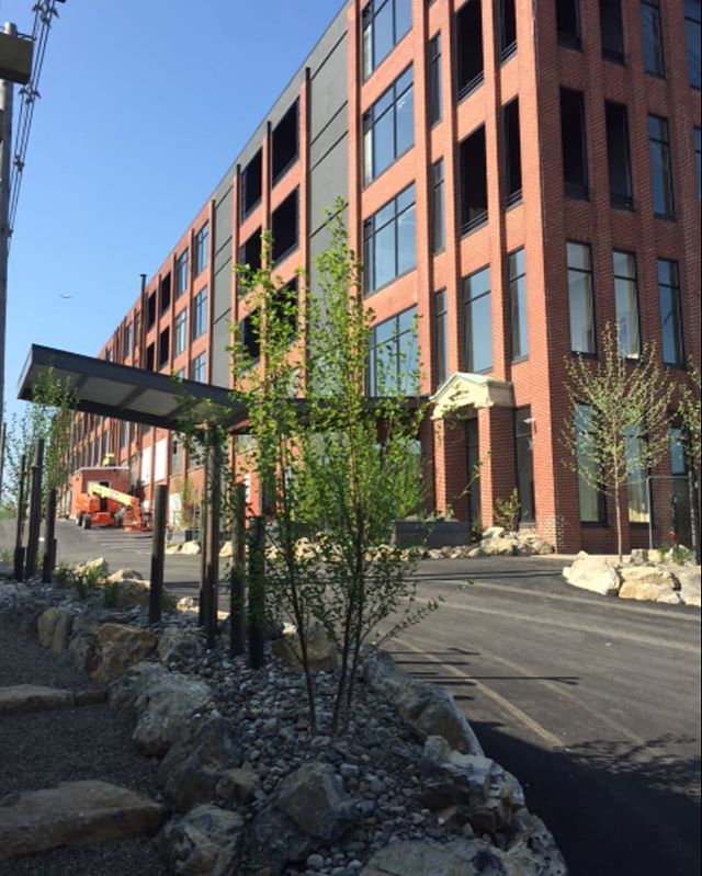 Longview Construction excited to complete Phase I construction on the 99 units at the Lofts @ Narrow located next to the VF Outlets property in West Reading, PA. THE LOFTS...move in...move up!

#LongviewConstruction #LongviewBuilds  #westreadingpa #b