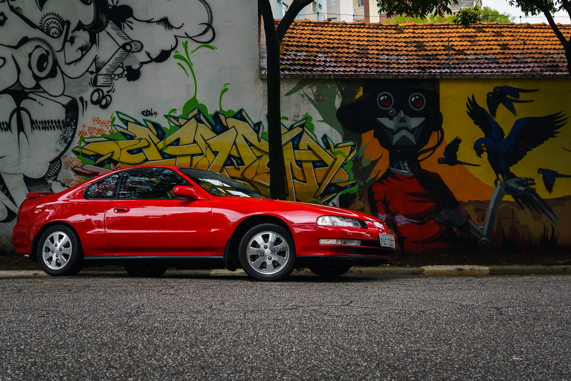 The Authentic Car Enthusiast