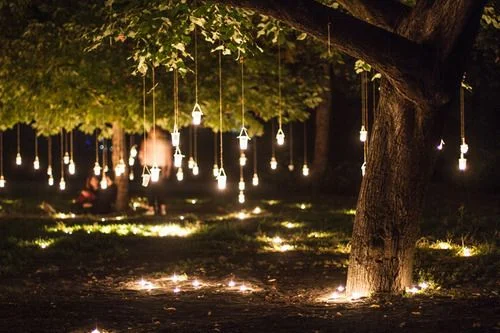 whimsical outdoor lights
