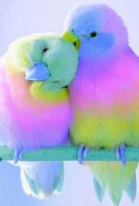 October 2023 Horoscopes