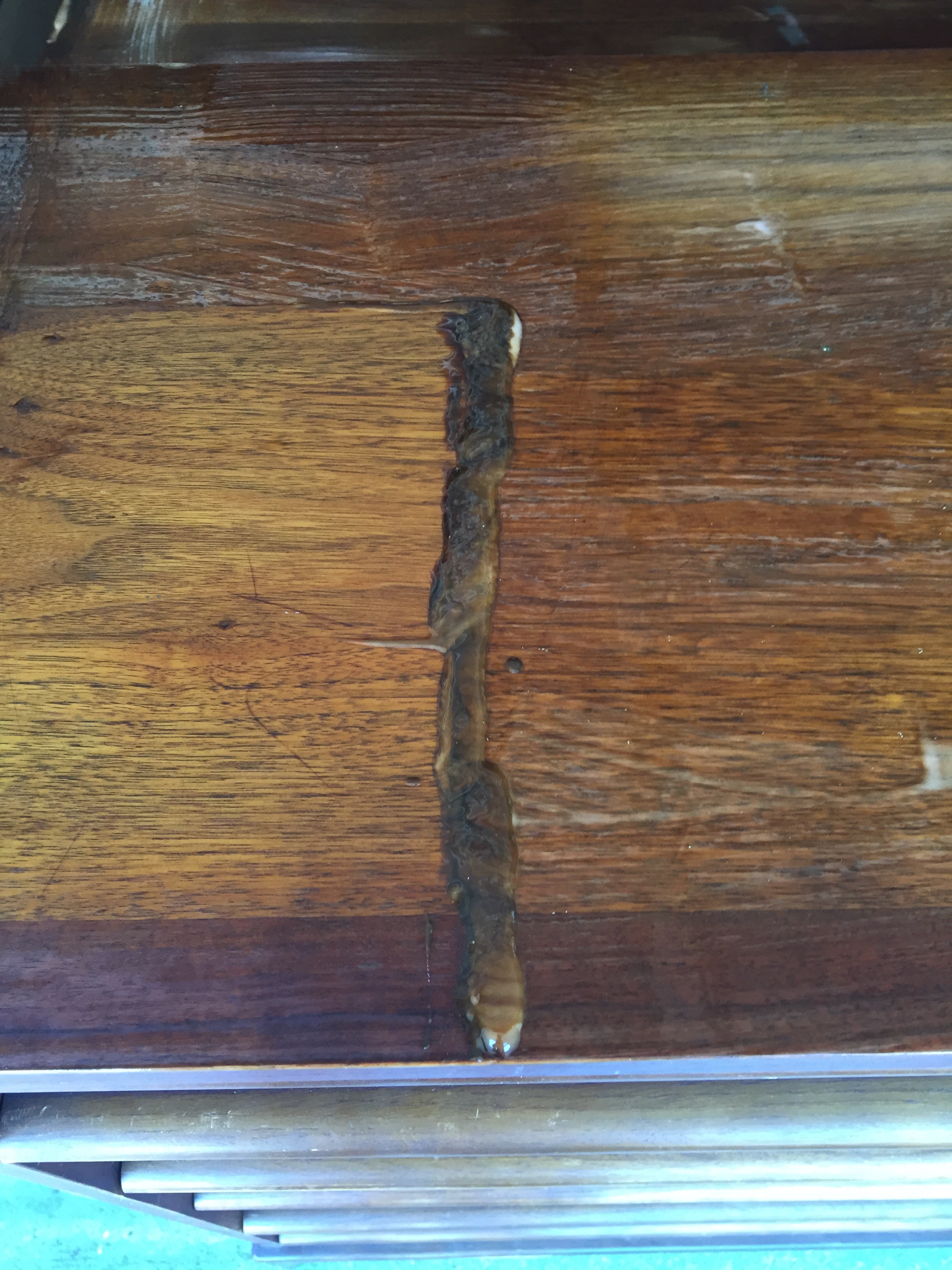 Scraping stripper from the long dresser top...ooooh, stripping!