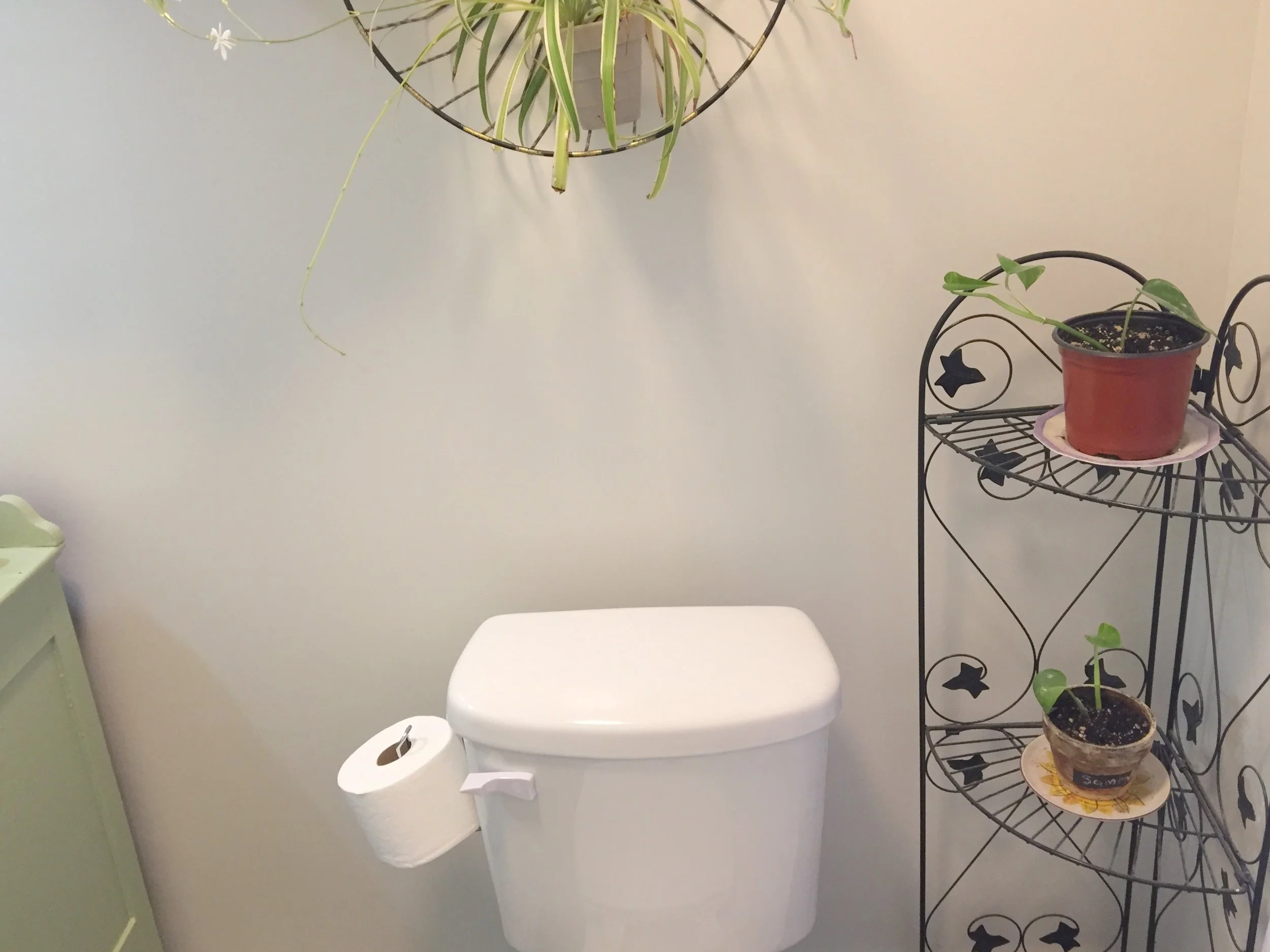 plants by toilet straight.jpg
