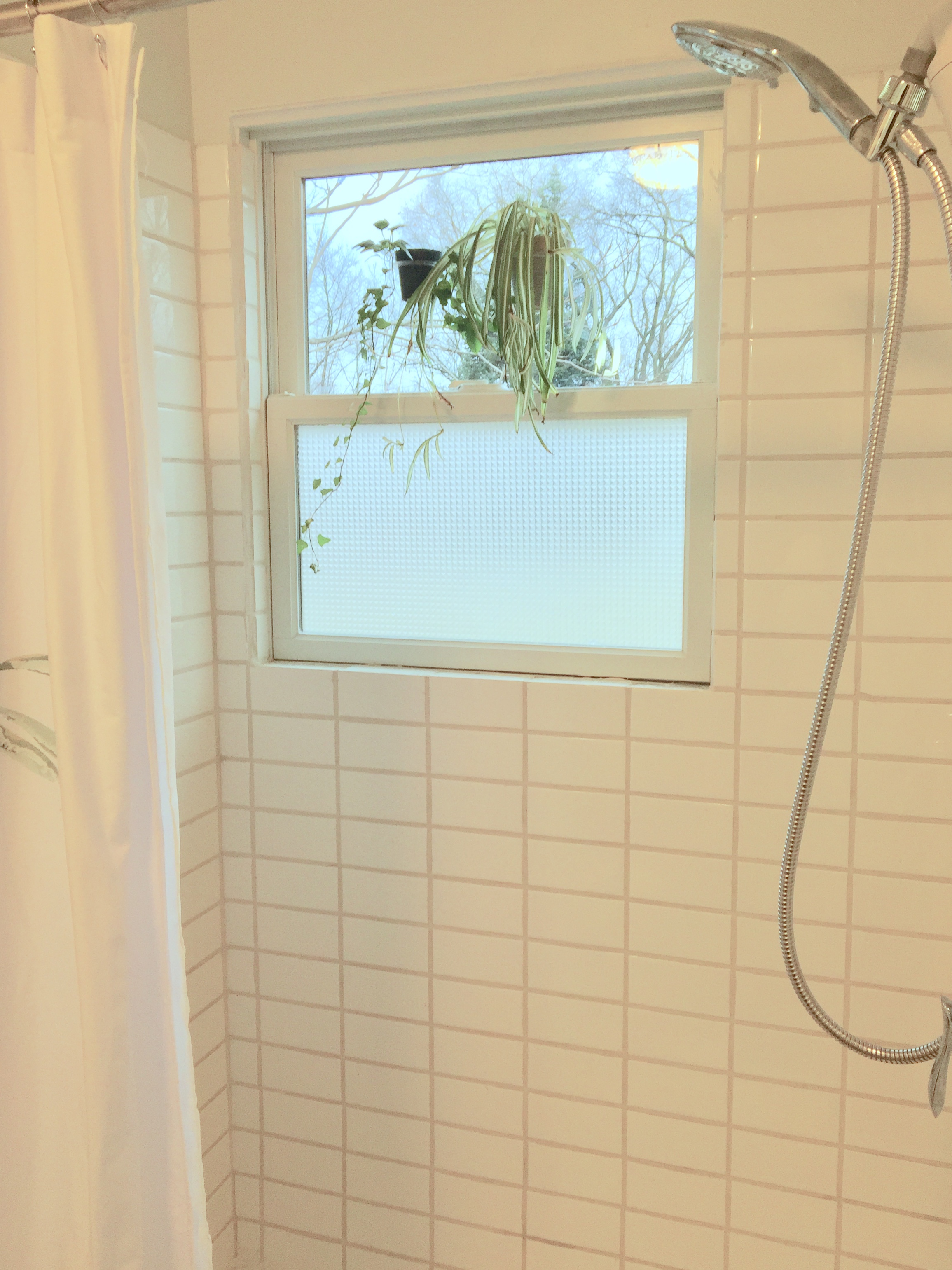 shower stall close.jpg