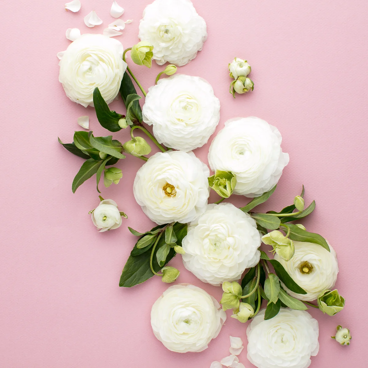 What Being A Woman Means to Me!