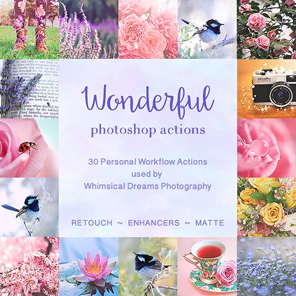 WonderfulCollection-590x2-72.jpg