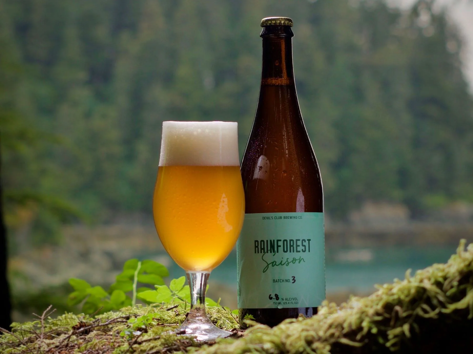 Rainforest Saison Batch 3.2.jpg