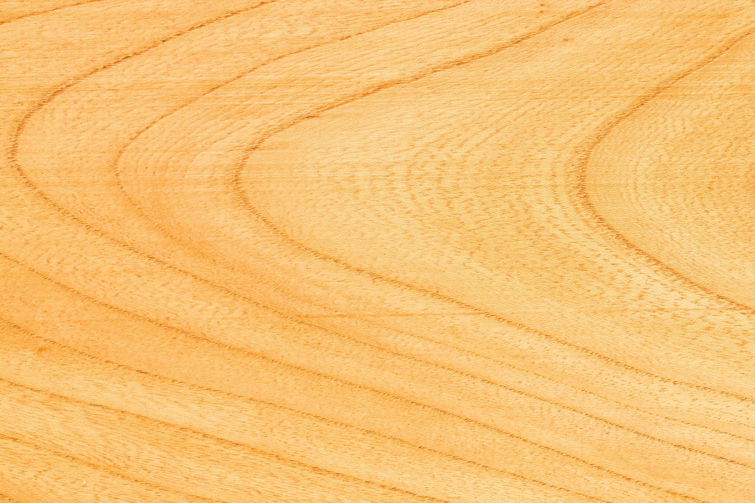 Southeast Alaska forest detail