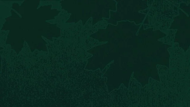 BACKGROUND 16by9.jpeg