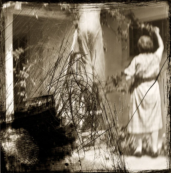 "Hanging Ivy"