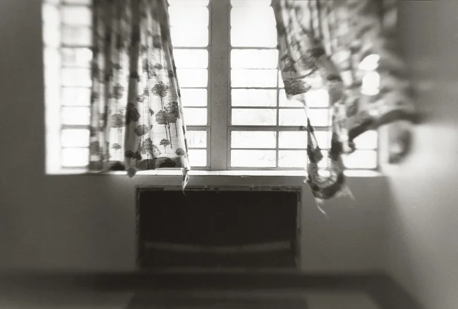 I am not going to try to fake anyone out and pretend I would ever know what it feels like to live in an institution. I think, though, that I would not want to live in one. When I saw this window with the tattered curtains I thought, "There it is...that's the way out." 
