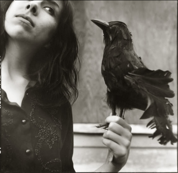 A Bird in the Hand