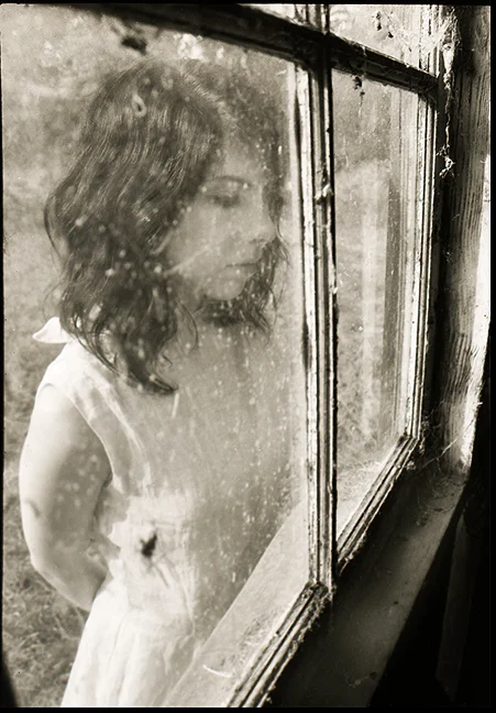 The Window