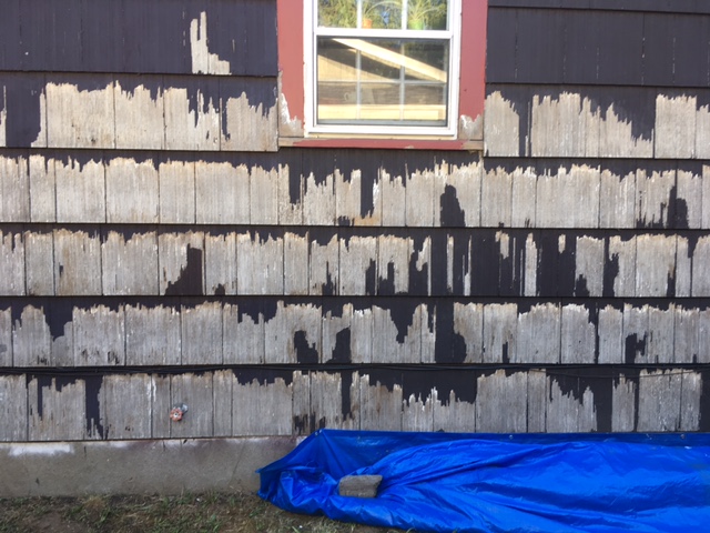 Worst task on the face of the planet: scraping the house. Wearing a half-mask with cannisters in 100F weather is just awful. Replacing caulking is not so bad, but many of my shingles were (IMHO as a novice) too far apart. So I caulked between those, too. Then I primed with lead-binding primer. 