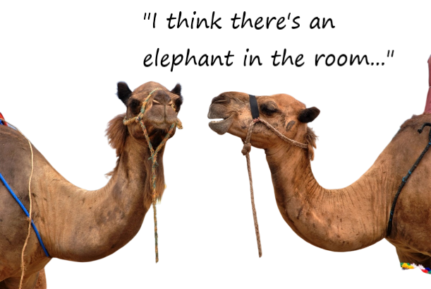 camels_elephant in the room.png