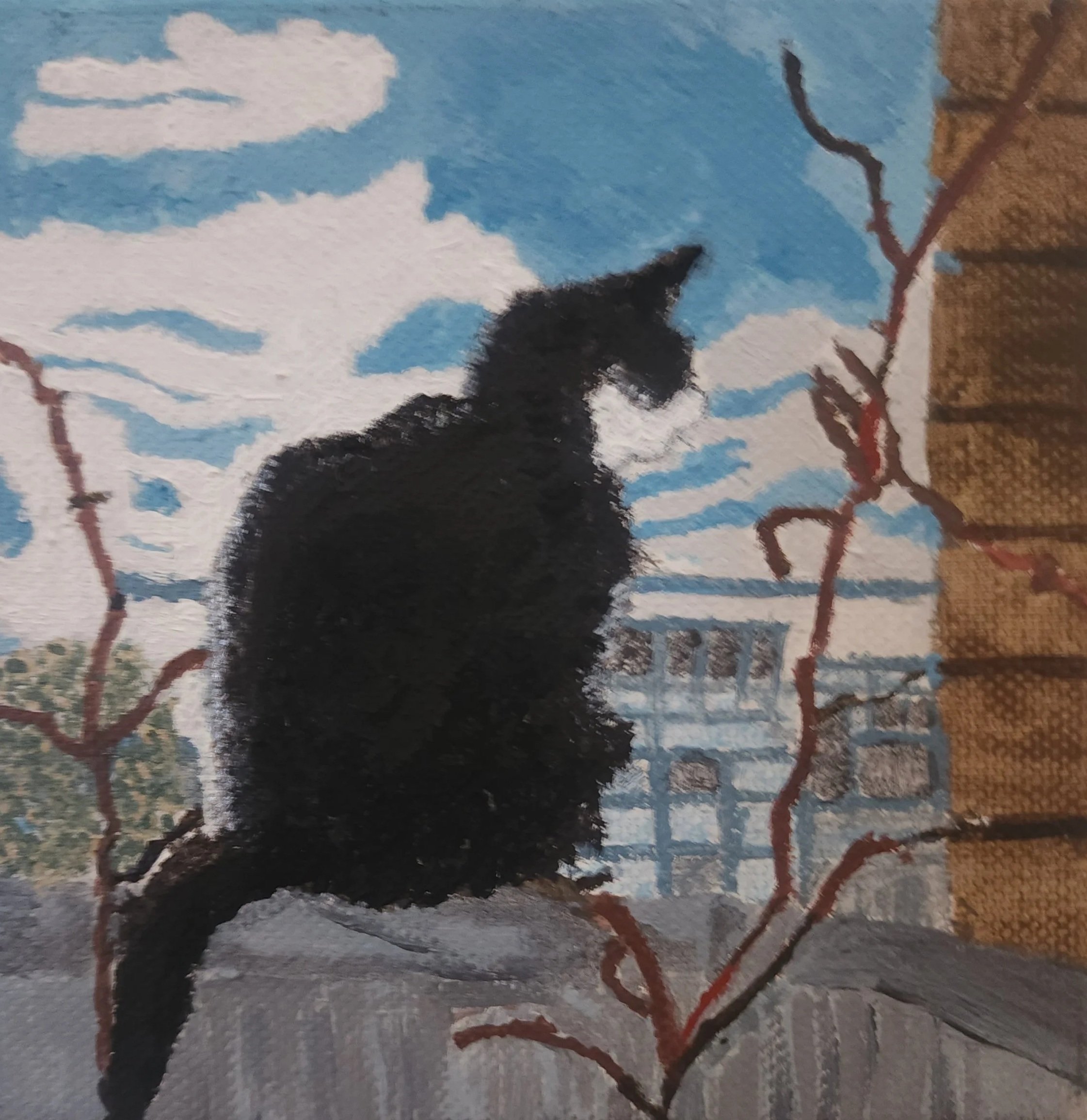 Survey cat